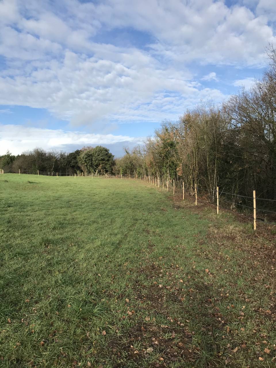Hippisch vastgoed Koop Charente