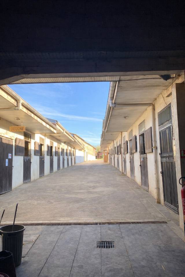 Eigenaren stal Koop Meurthe-et-Moselle