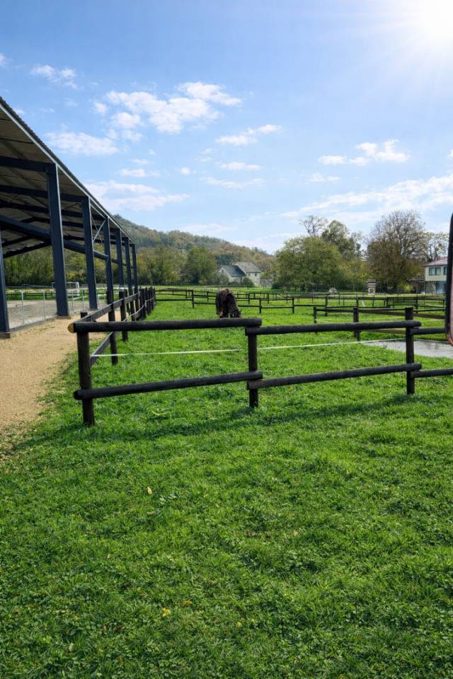 Eigenaren stal Koop Meurthe-et-Moselle