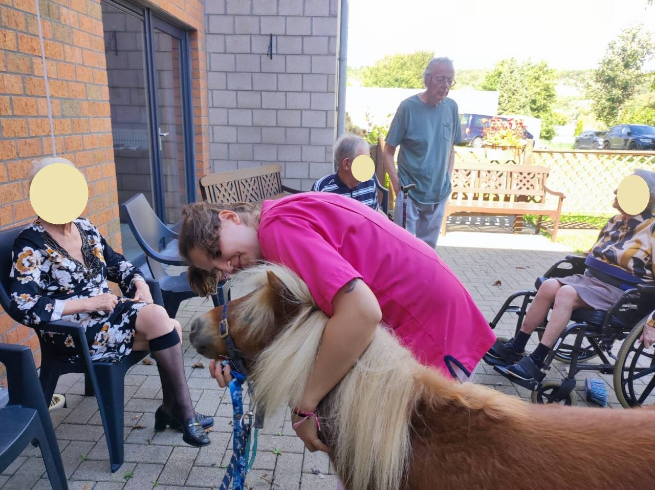 Ruin Shetland Te koop 2024 Vos