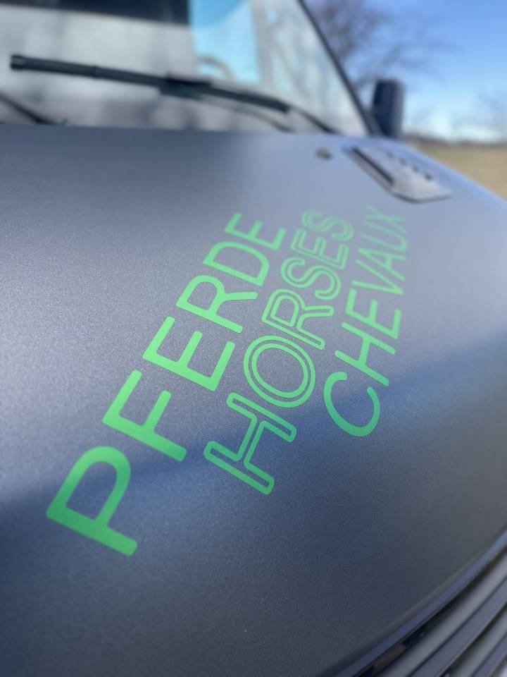 Kleine paardenvrachtwagen (B rijbewijs) Iveco IVECO 0 Nieuw