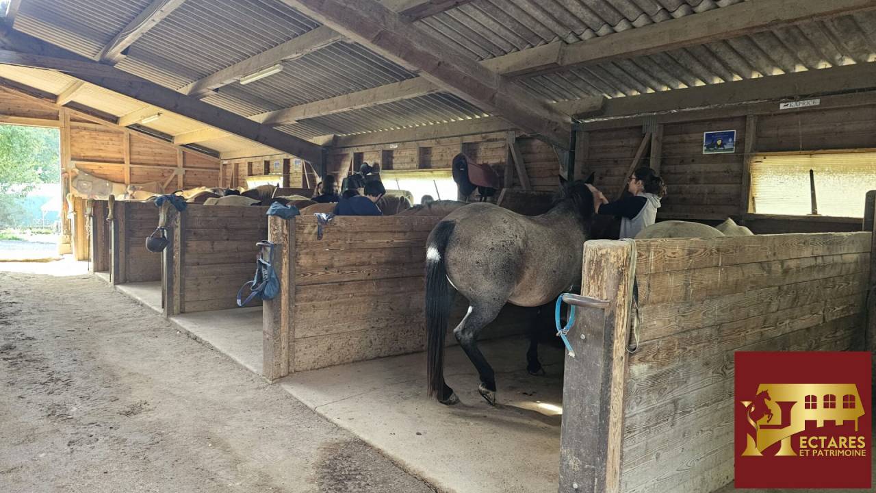 Hippisch vastgoed Koop Sa&ocirc;ne-et-Loire