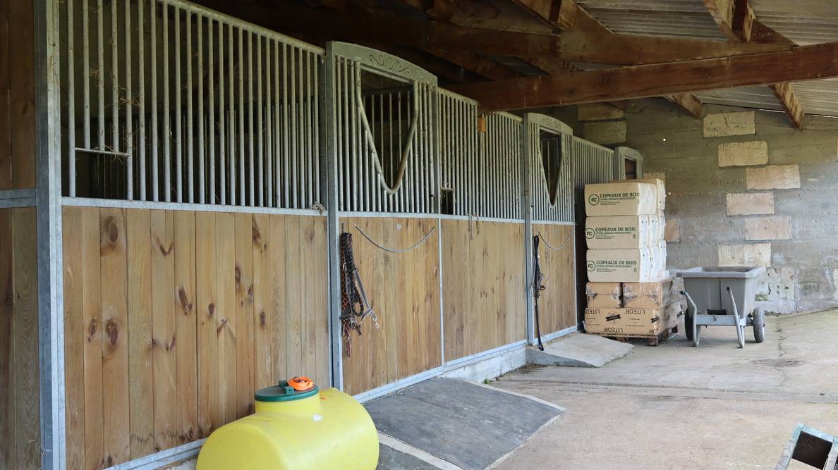 Mooi hippisch vastgoed Koop Charente