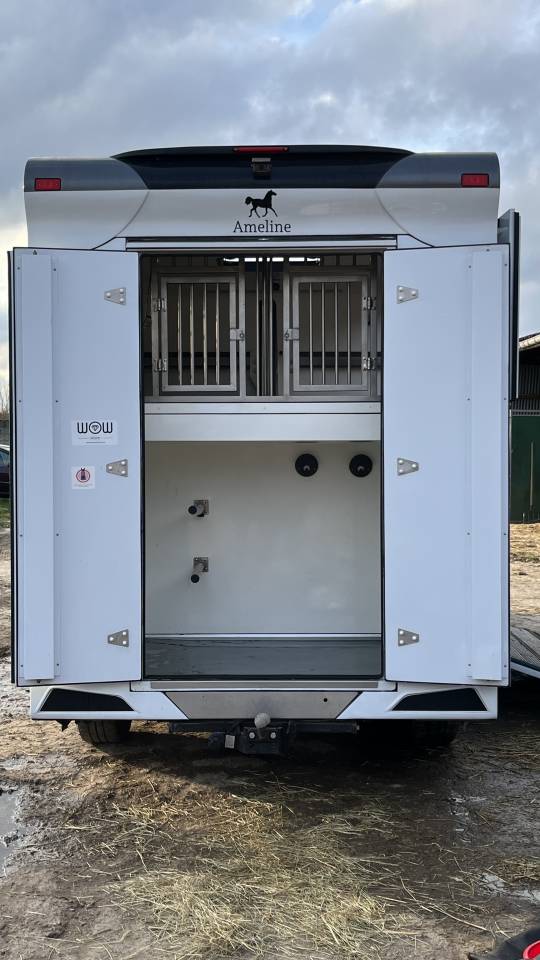 Kleine paardenvrachtwagen (B rijbewijs) Ameline Master 3  2021 Tweedehands