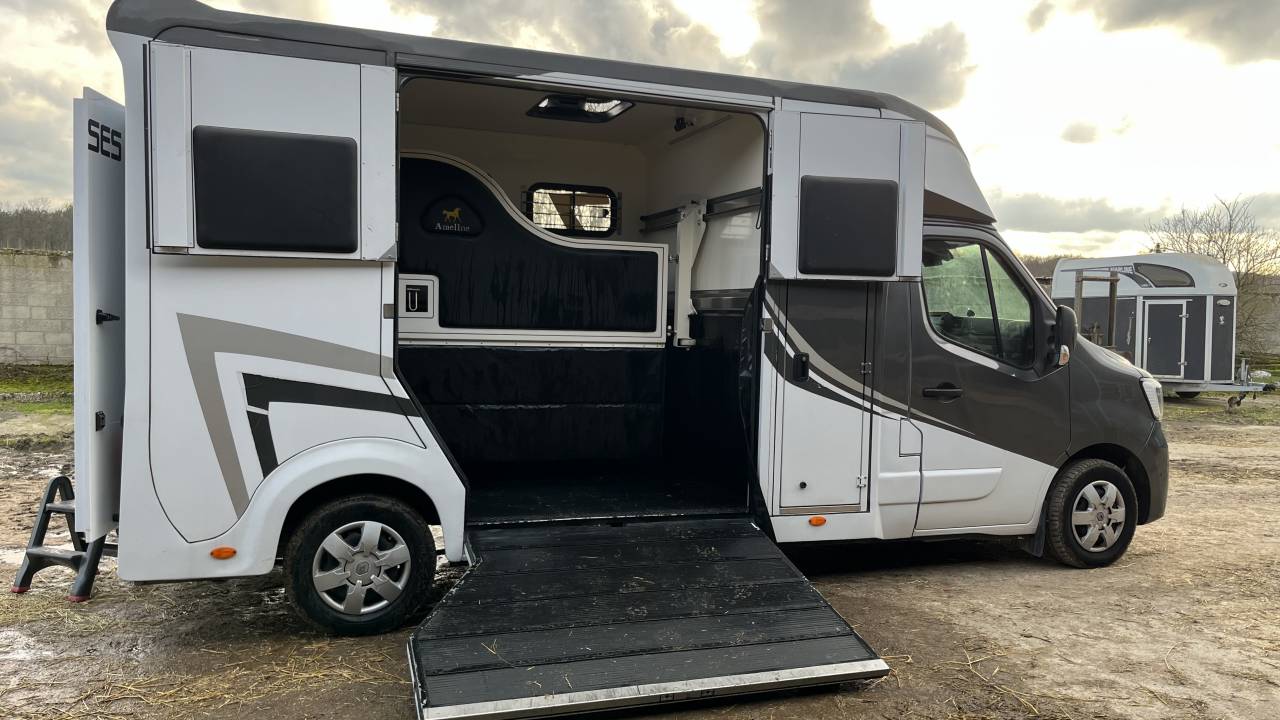 Kleine paardenvrachtwagen (B rijbewijs) Ameline Master 3  2021 Tweedehands