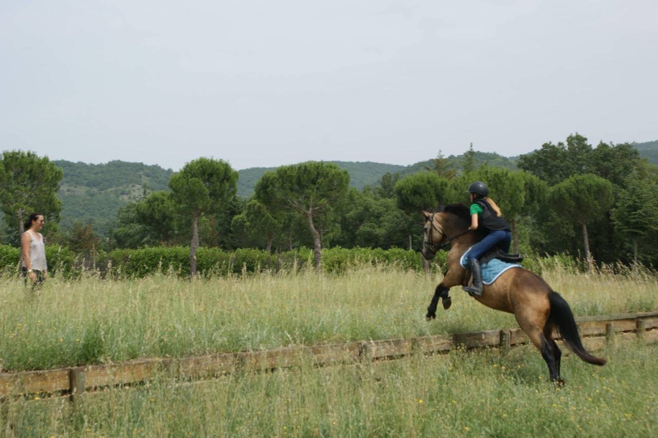 Ruin Connemara Te koop 2015 Isabel