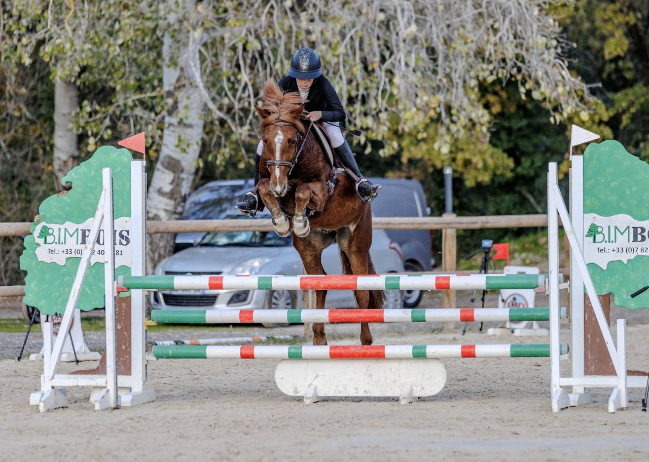 Ruin Franse rijpony PFS Te koop 2019 Vos