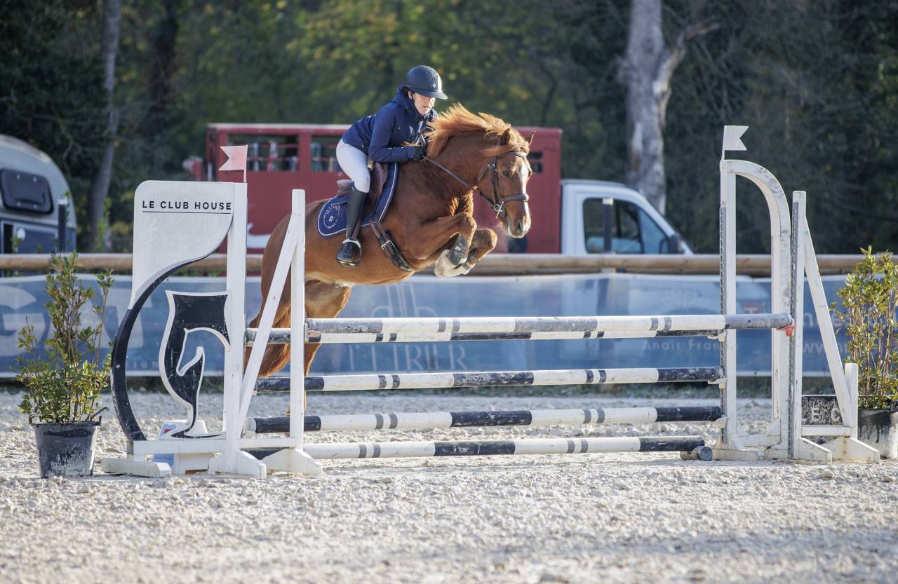 Ruin Franse rijpony PFS Te koop 2019 Vos