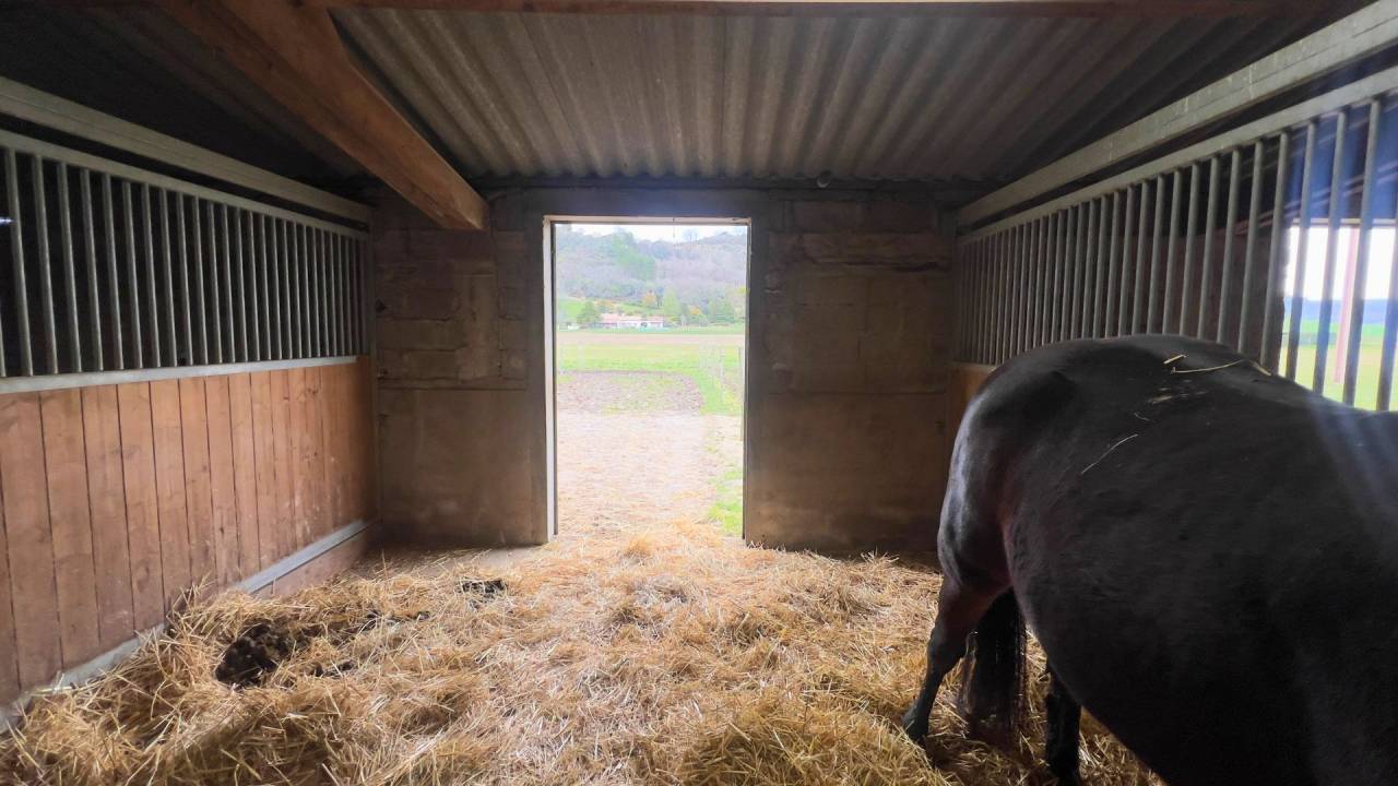 Hippisch vastgoed Koop Tarn-et-Garonne