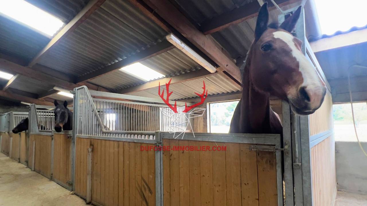 Hippisch vastgoed Koop Tarn-et-Garonne