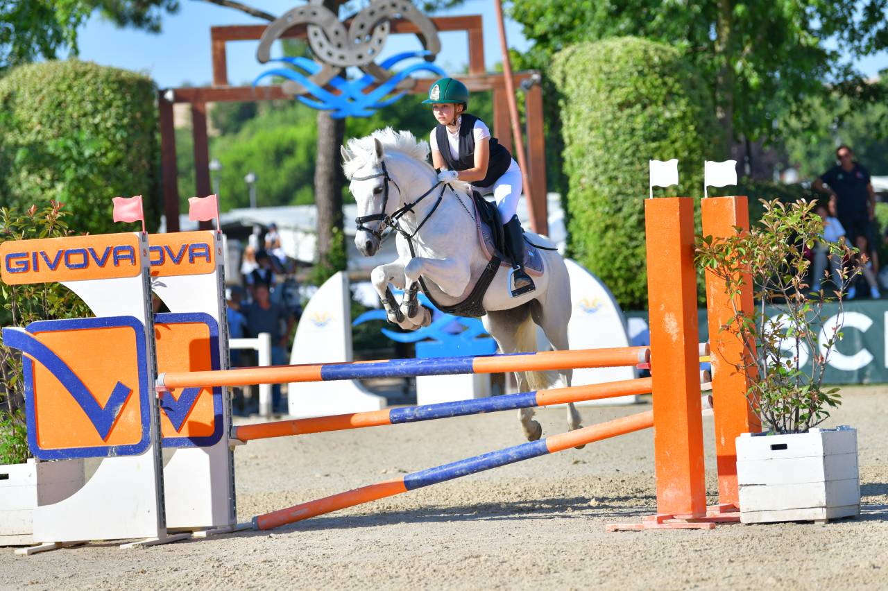 Merrie Franse rijpony PFS Te leen 2012 Schimmel ,  PEPS DOMAIN