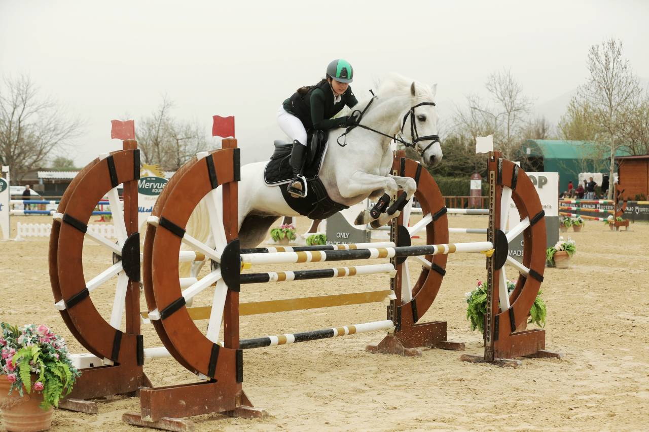 Merrie Franse rijpony PFS Te leen 2012 Schimmel ,  PEPS DOMAIN