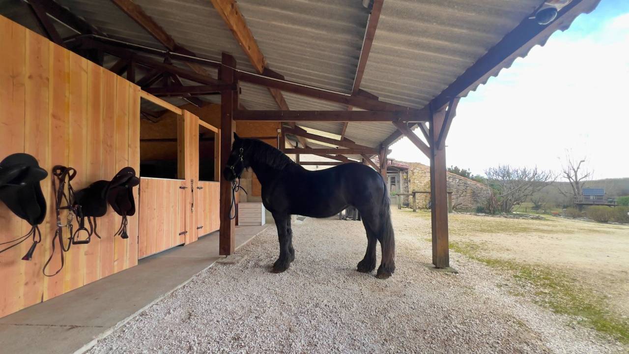 Hippisch vastgoed Koop Lot-et-Garonne