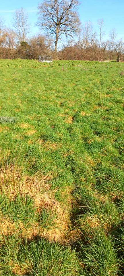 Hippisch vastgoed Koop Deux-S&egrave;vres