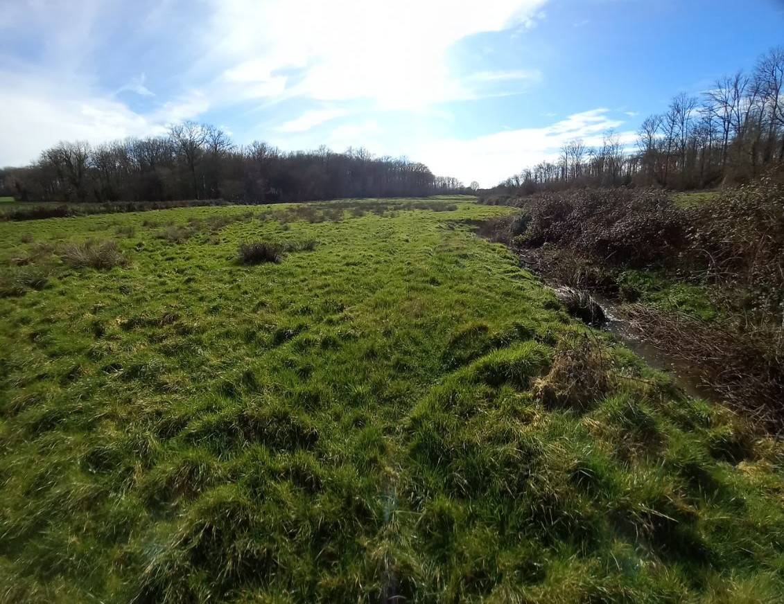 Hippisch vastgoed Koop Deux-S&egrave;vres