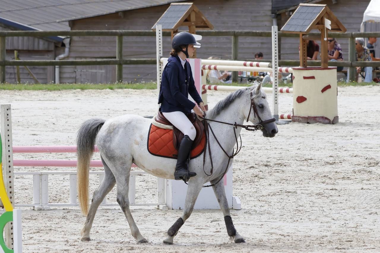 Merrie Franse rijpony PFS Te koop 2016 Schimmel ,  Qredo des islots