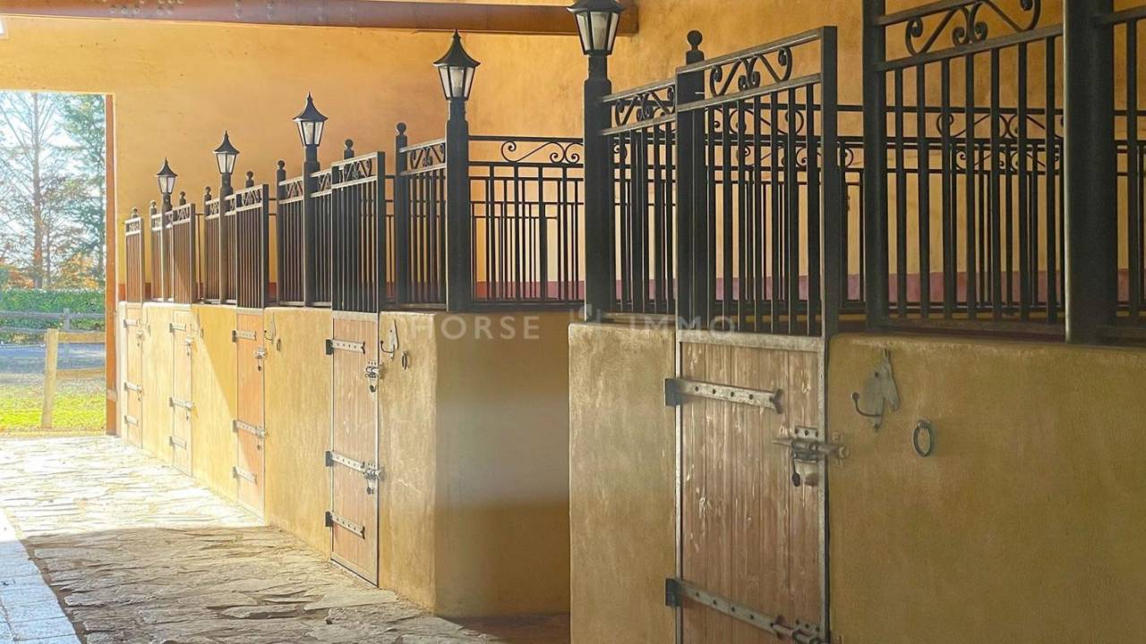 Hippisch vastgoed Koop H&eacute;rault