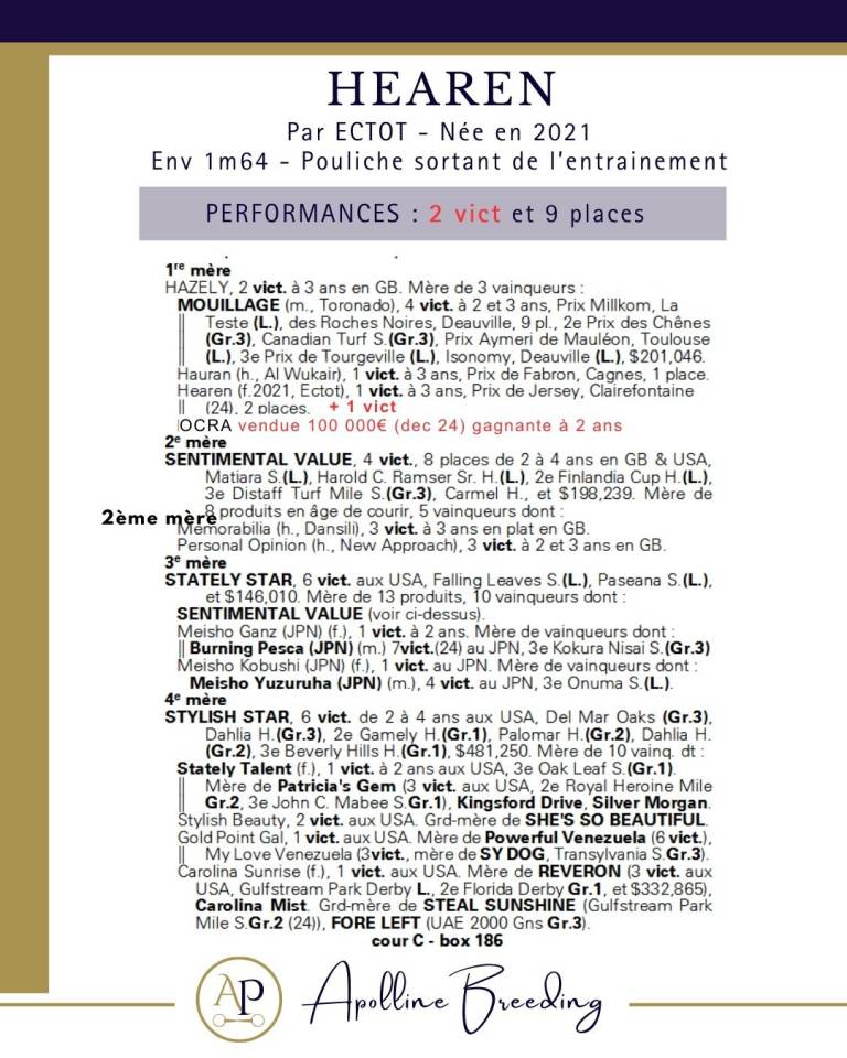 Merrie Volbloed Te koop 2021 Donker bruin / bai