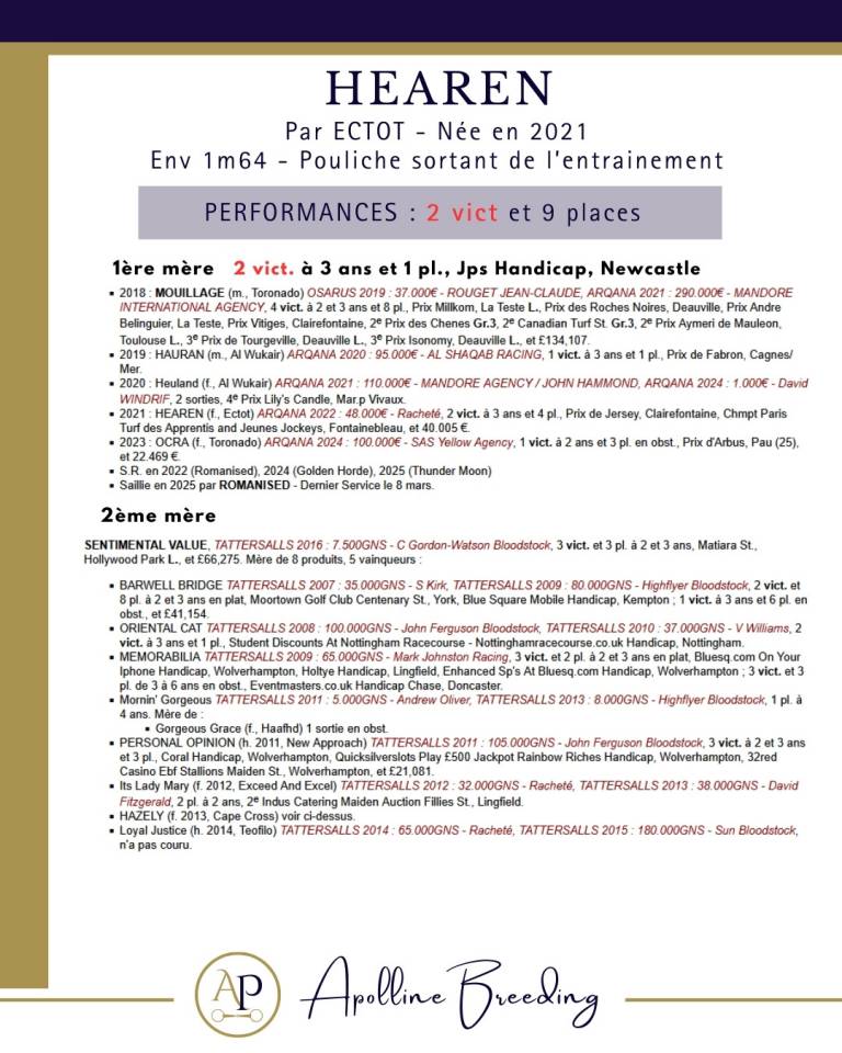 Merrie Volbloed Te koop 2021 Donker bruin / bai