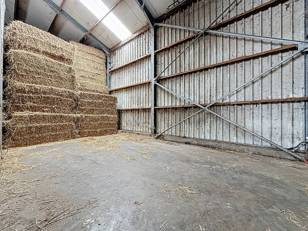 Paarden boerderij Koop Brabant-Wallon