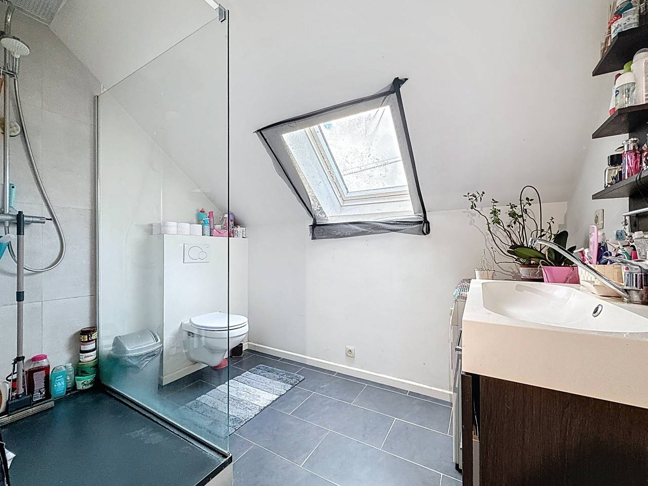 Paarden boerderij Koop Brabant-Wallon