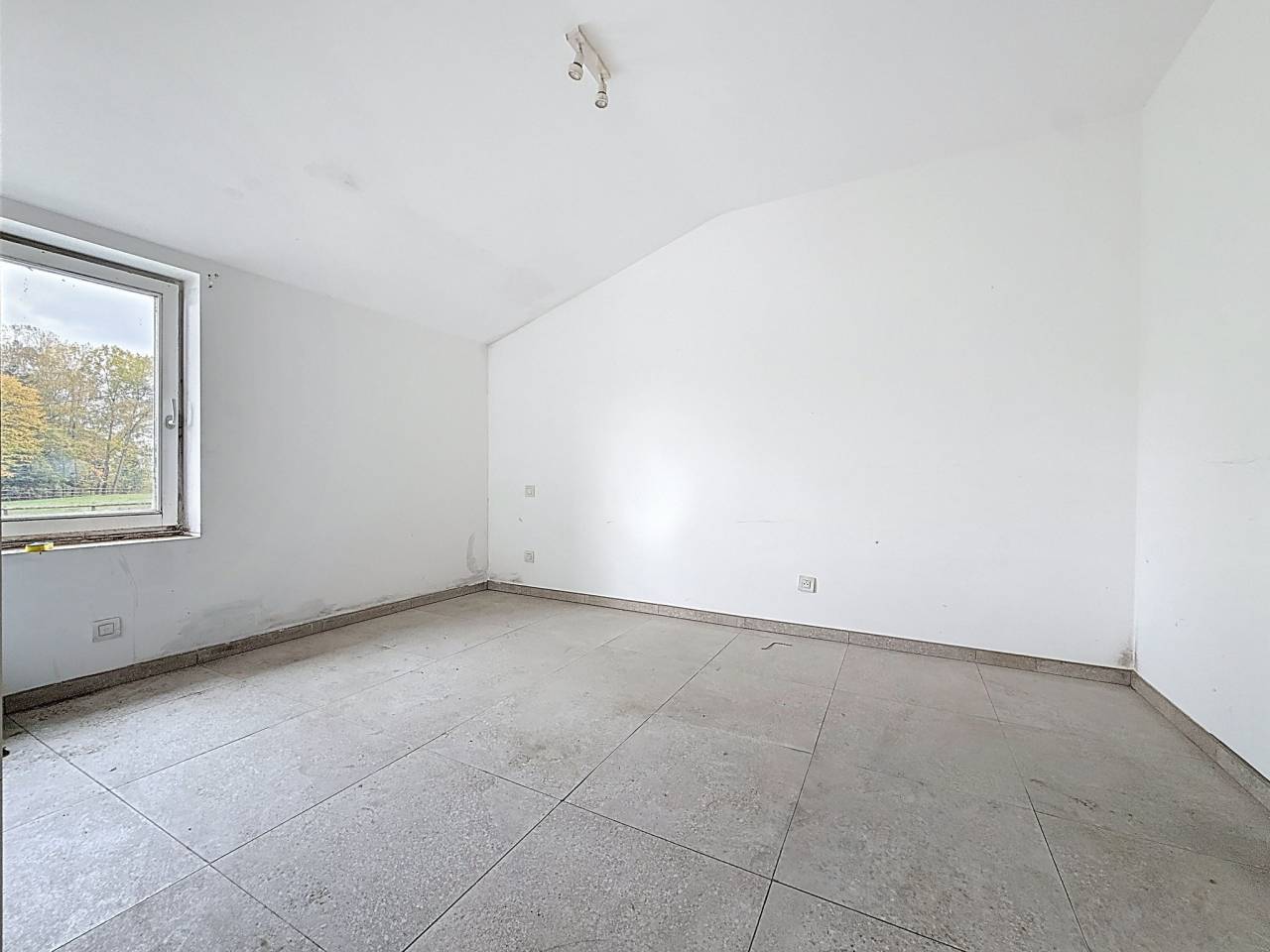 Paarden boerderij Koop Brabant-Wallon