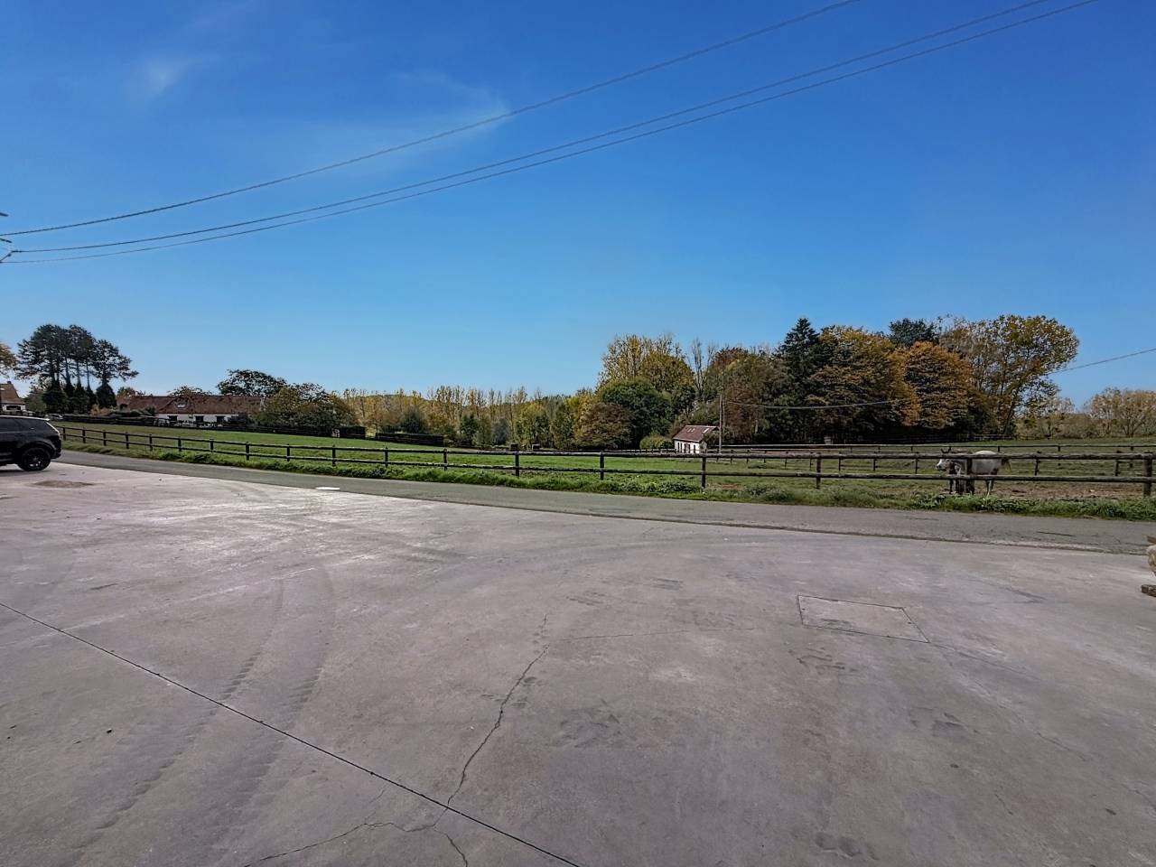 Paarden boerderij Koop Brabant-Wallon