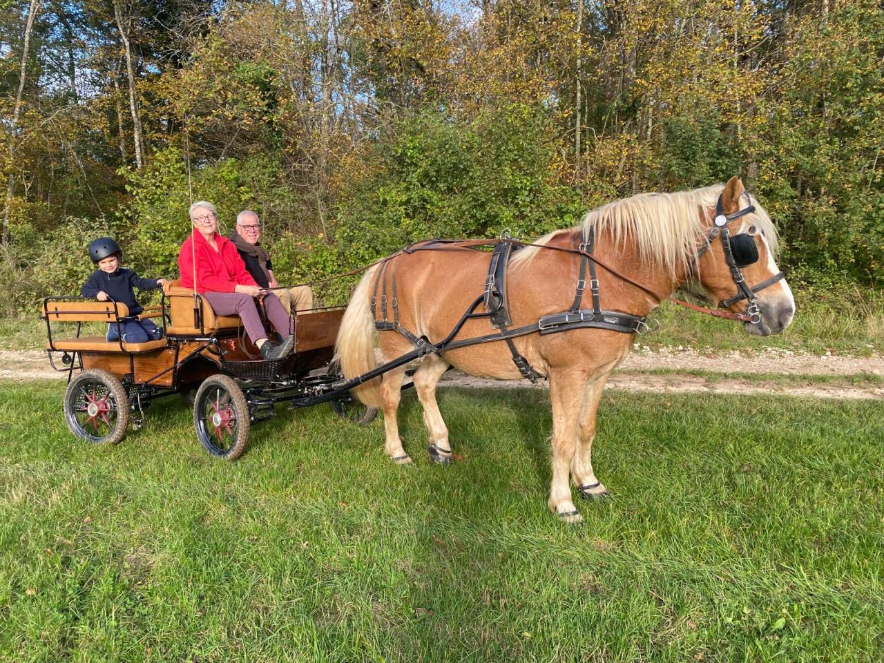 Rijtuigen - Cal&egrave;che - Ander merk -  