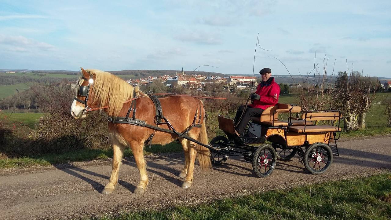 Rijtuigen - Cal&egrave;che - Ander merk -  