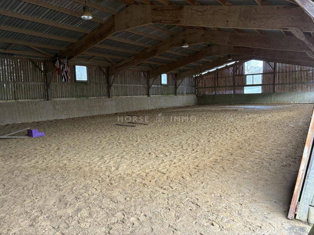 Stoeterij Koop Morbihan