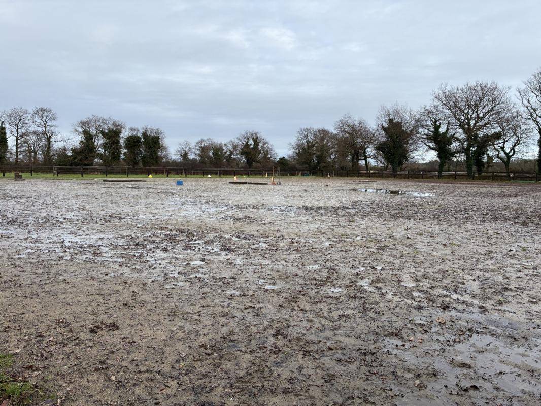 Stoeterij Koop Morbihan