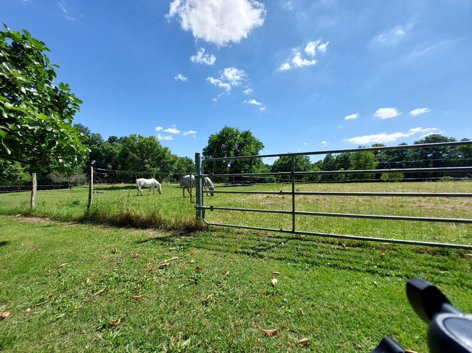 Hippisch vastgoed Koop Charente-Maritime