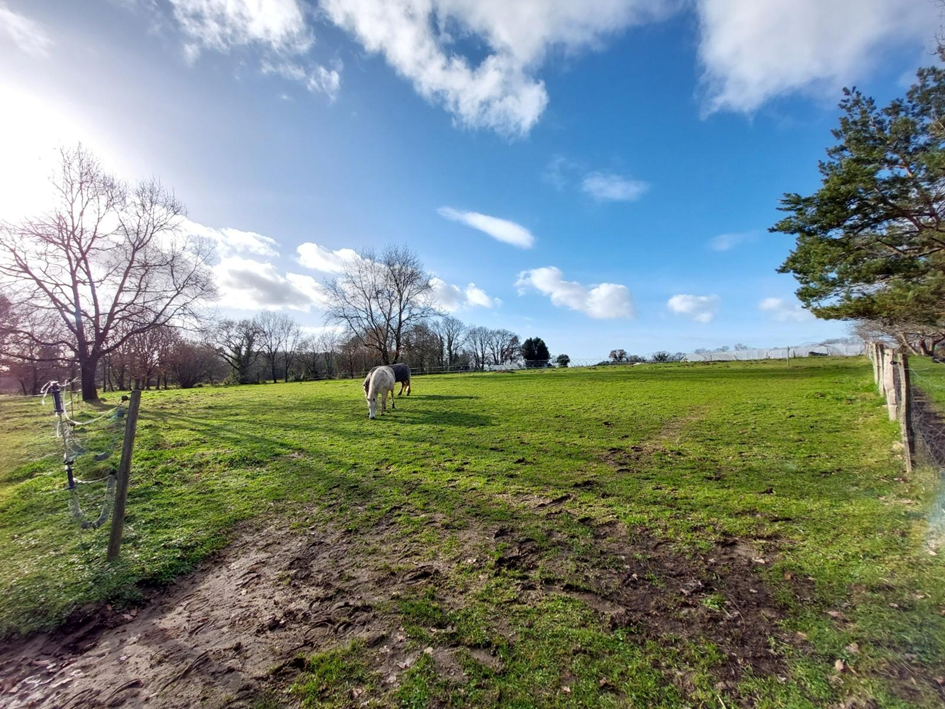 Hippisch vastgoed Koop Charente-Maritime