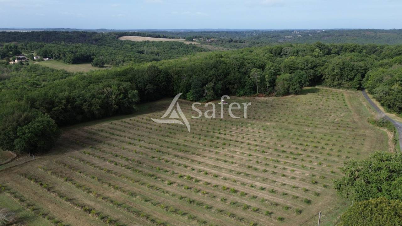 Landbouw bedrijf Koop Dordogne