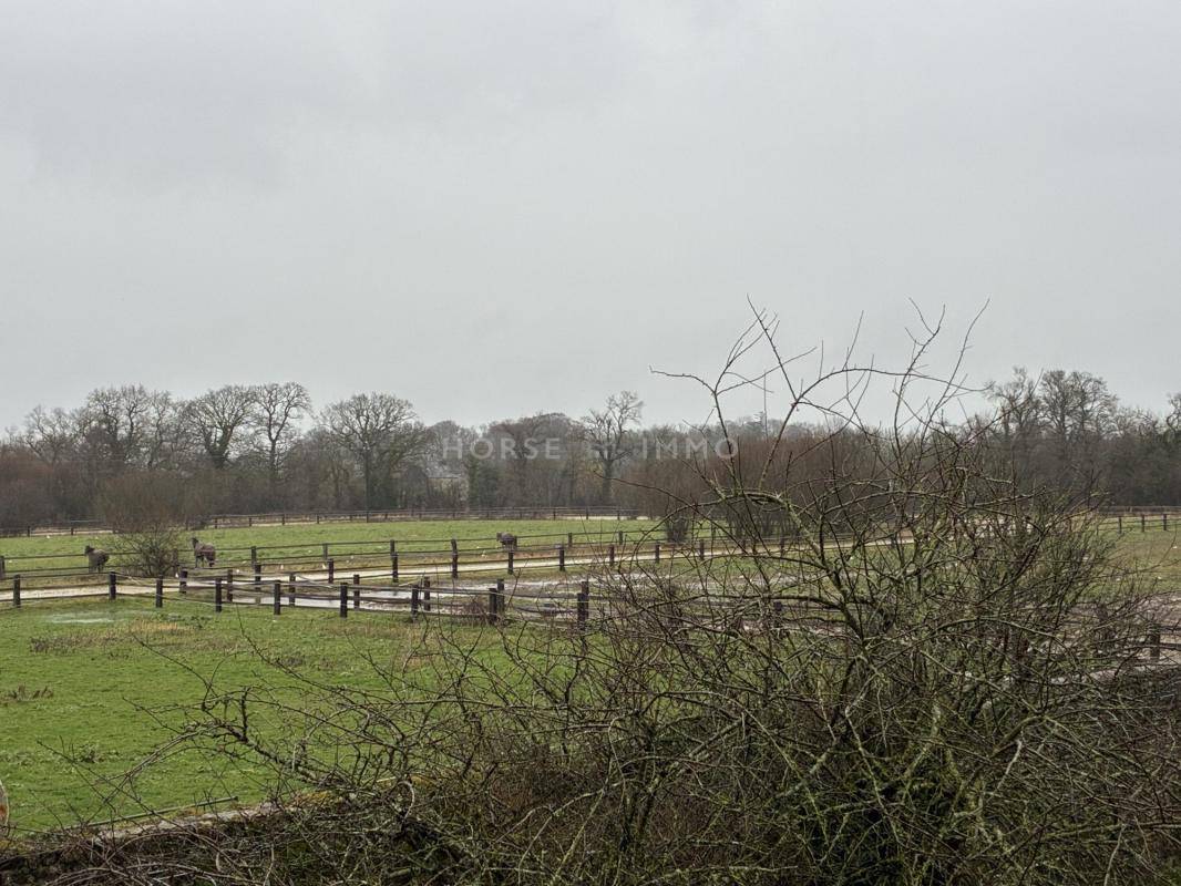 Mooi hippisch vastgoed Koop Manche