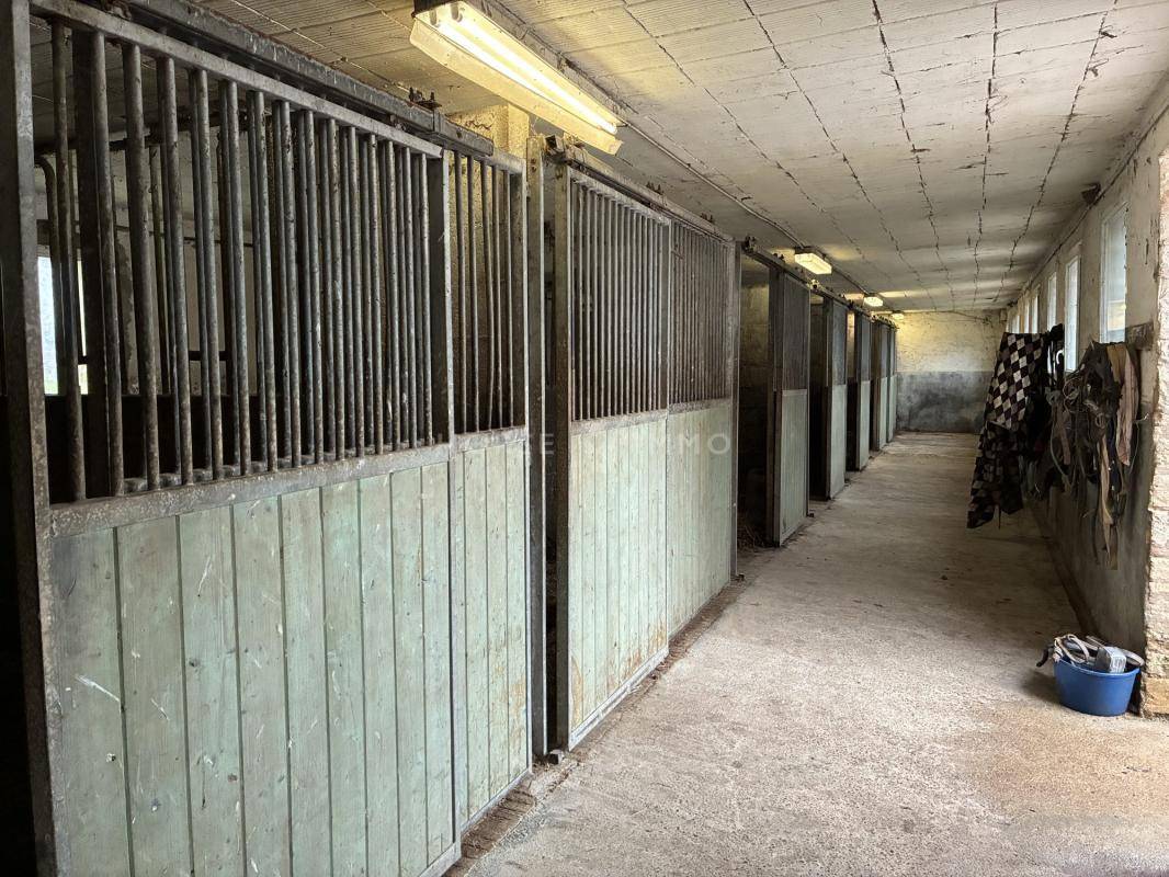 Mooi hippisch vastgoed Koop Manche