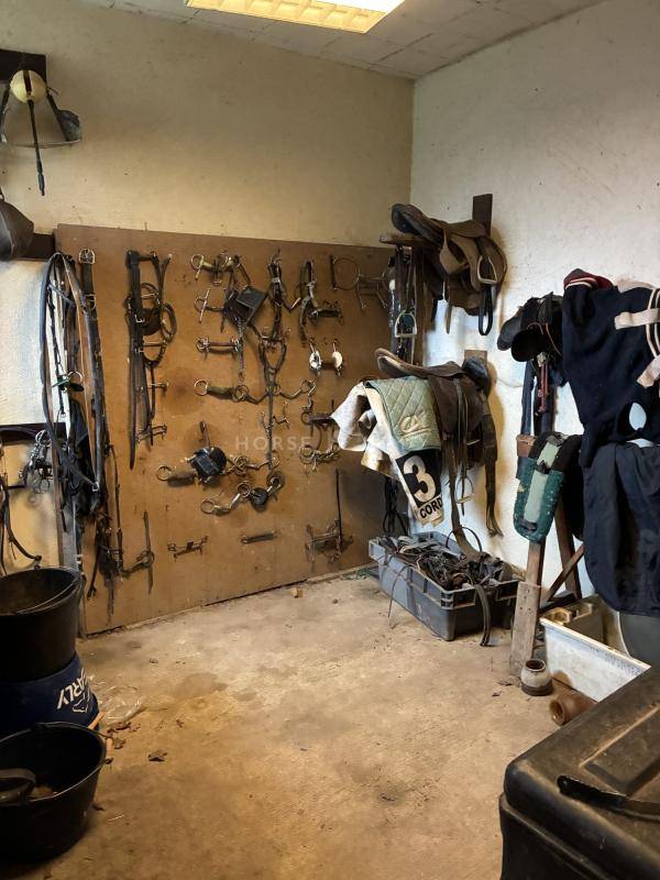 Mooi hippisch vastgoed Koop Manche