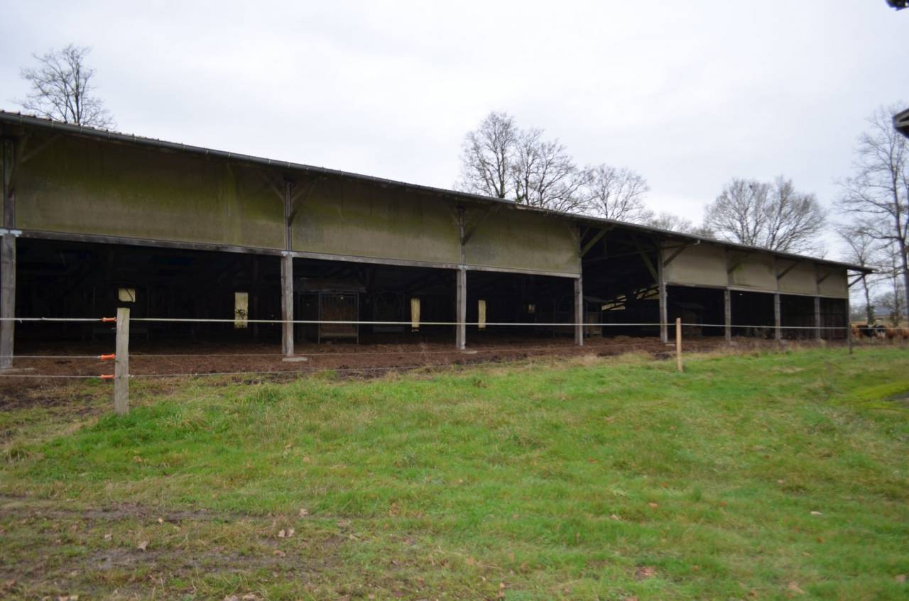 Hippisch vastgoed Koop Mayenne