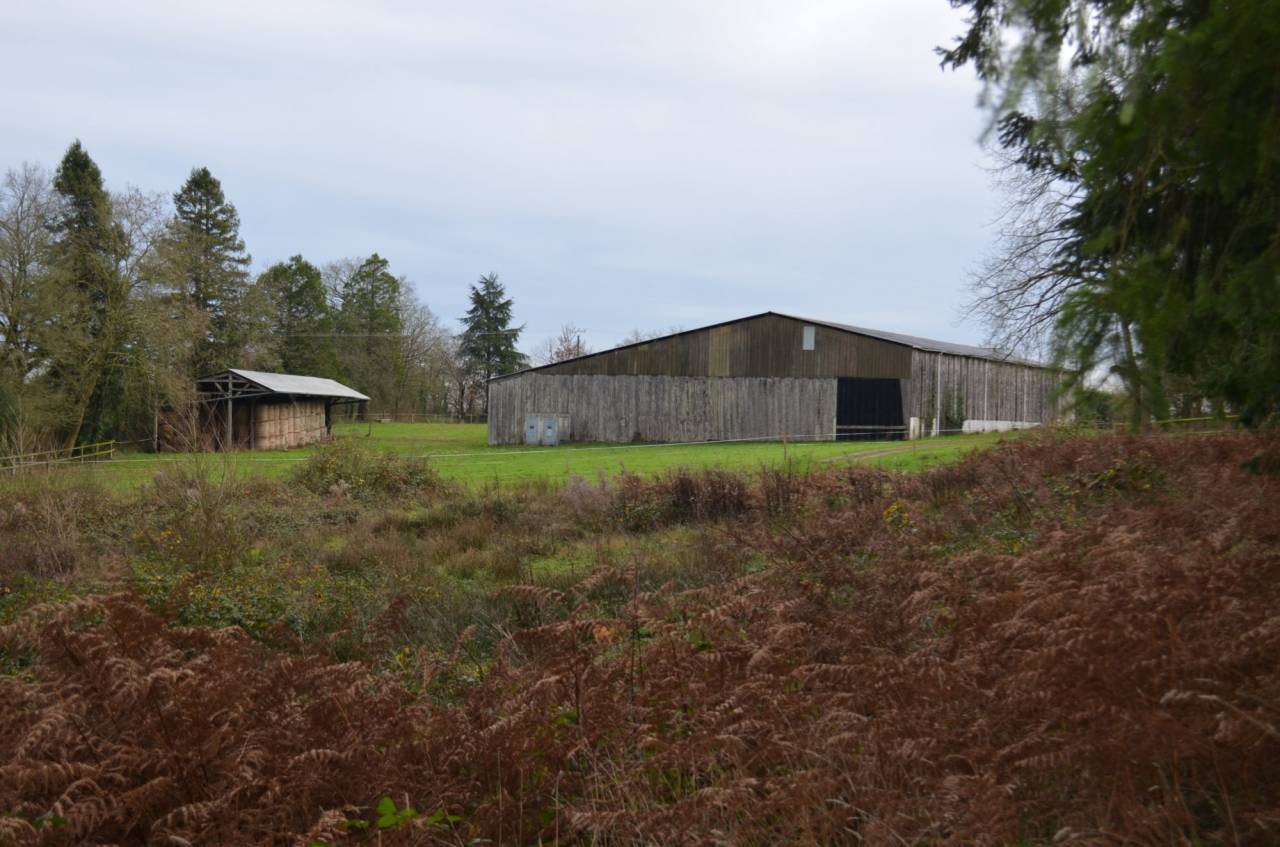 Hippisch vastgoed Koop Mayenne
