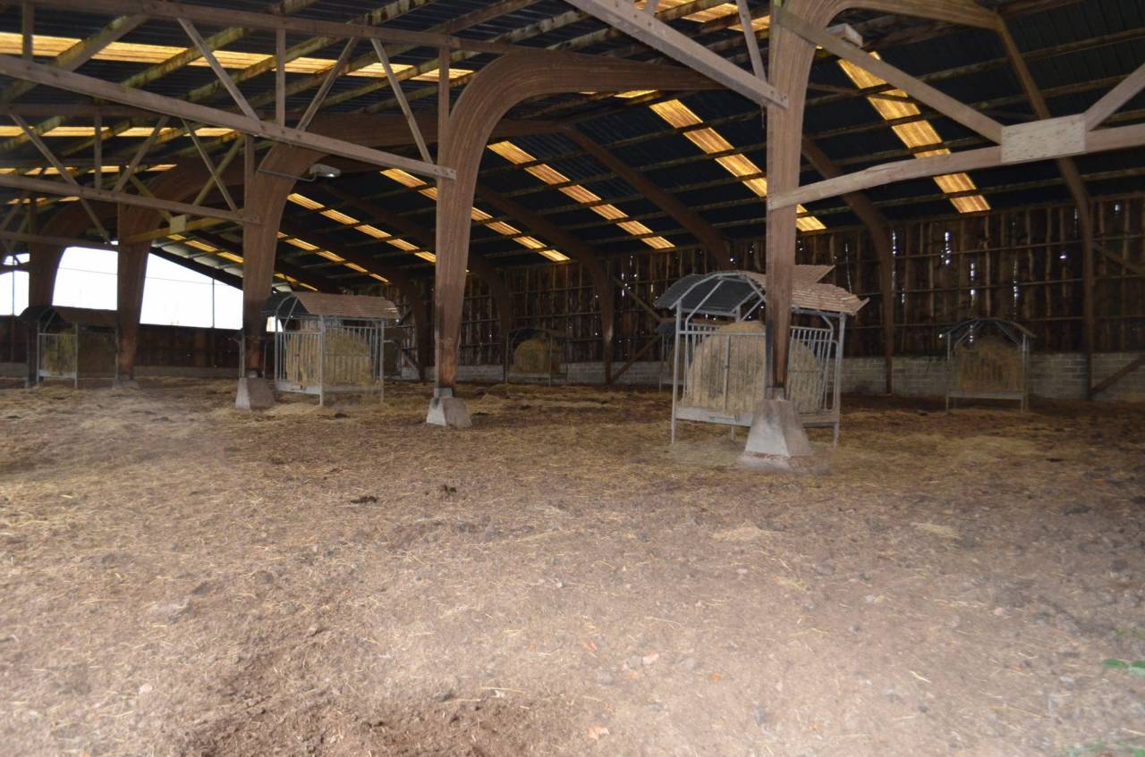 Hippisch vastgoed Koop Mayenne