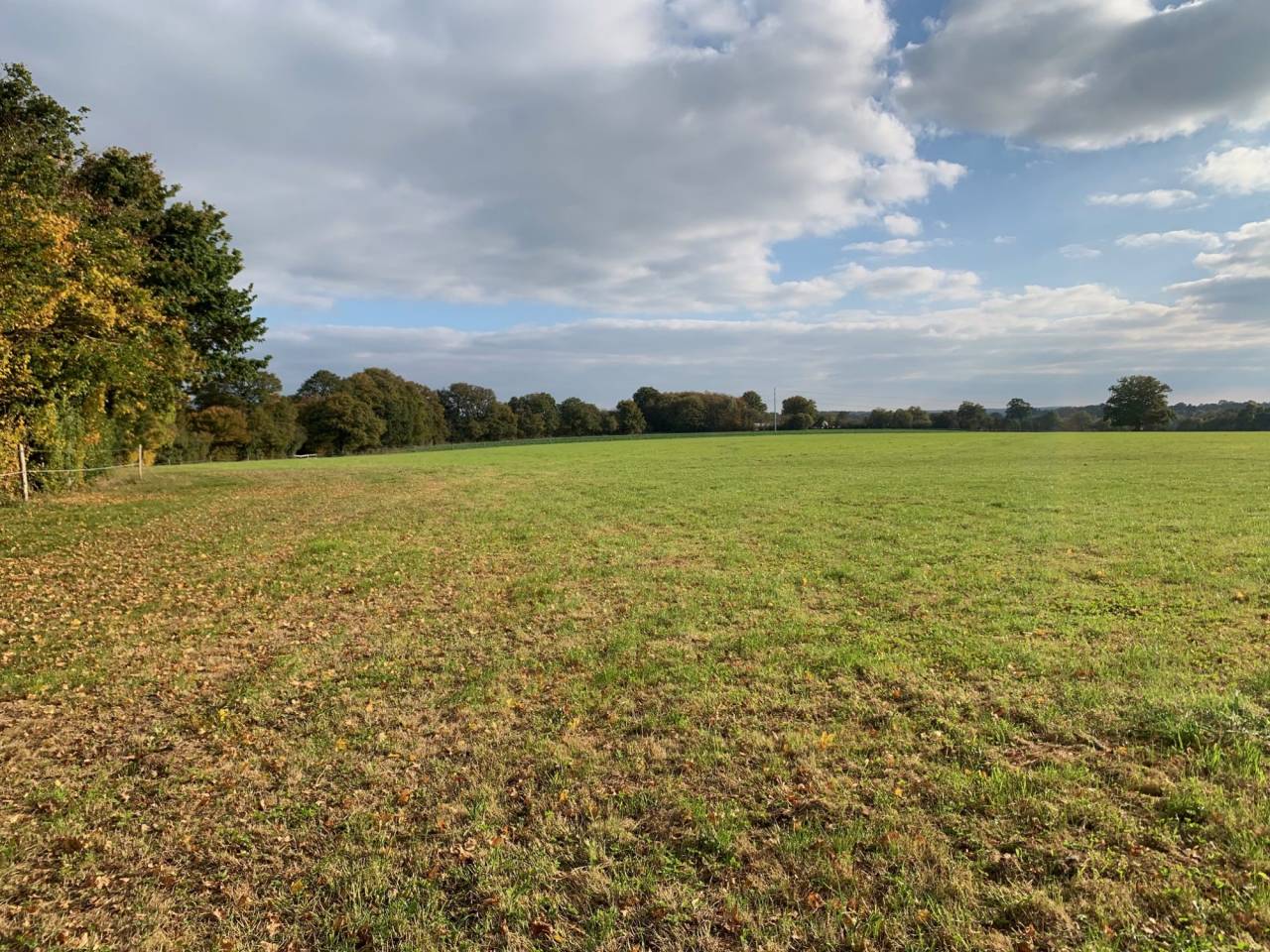 Hippisch vastgoed Koop Mayenne