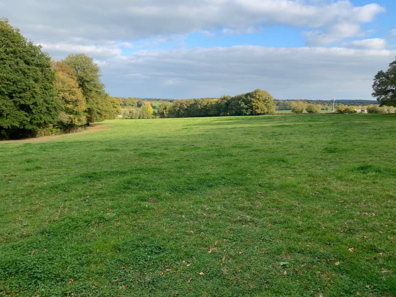 Hippisch vastgoed Koop Mayenne
