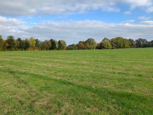 Hippisch vastgoed Koop Mayenne