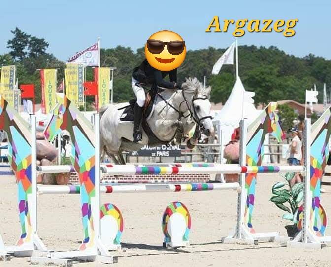 Veulen (ml) Connemara Te koop 2025 Cr&egrave;me ,  CASTLE NERO