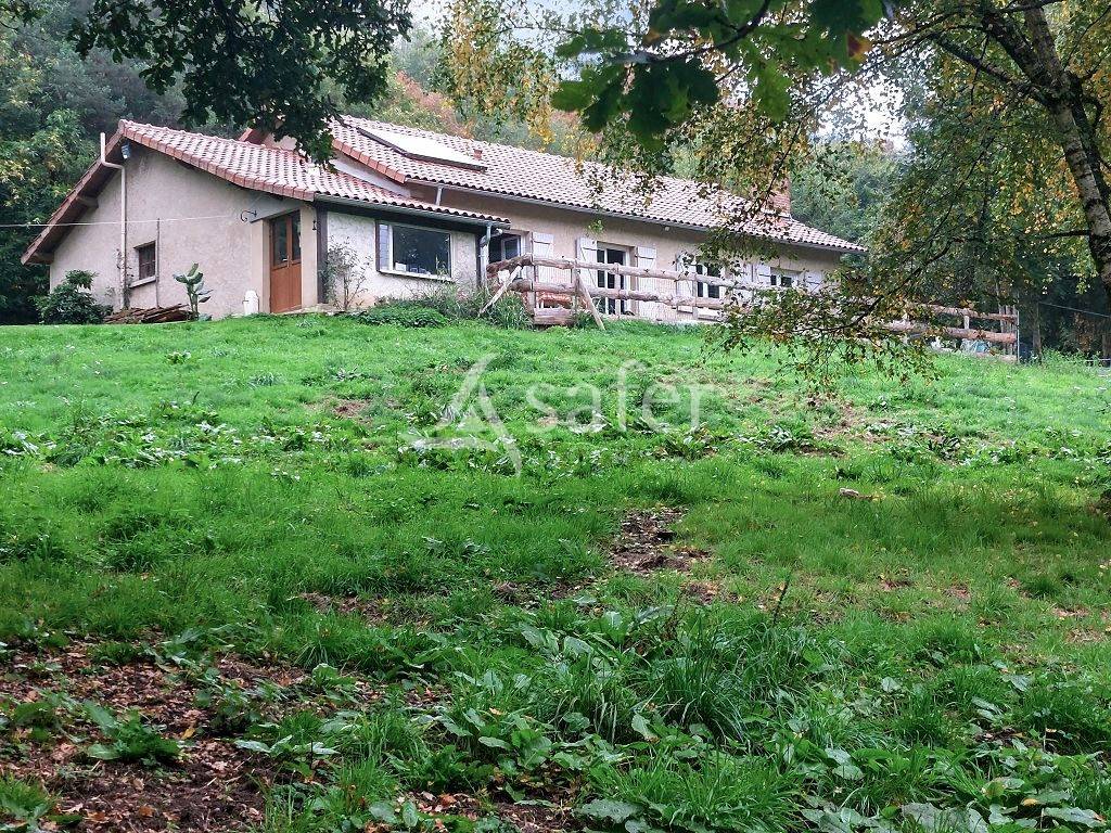 Ander plattelands vastgoed Koop Haute-Vienne