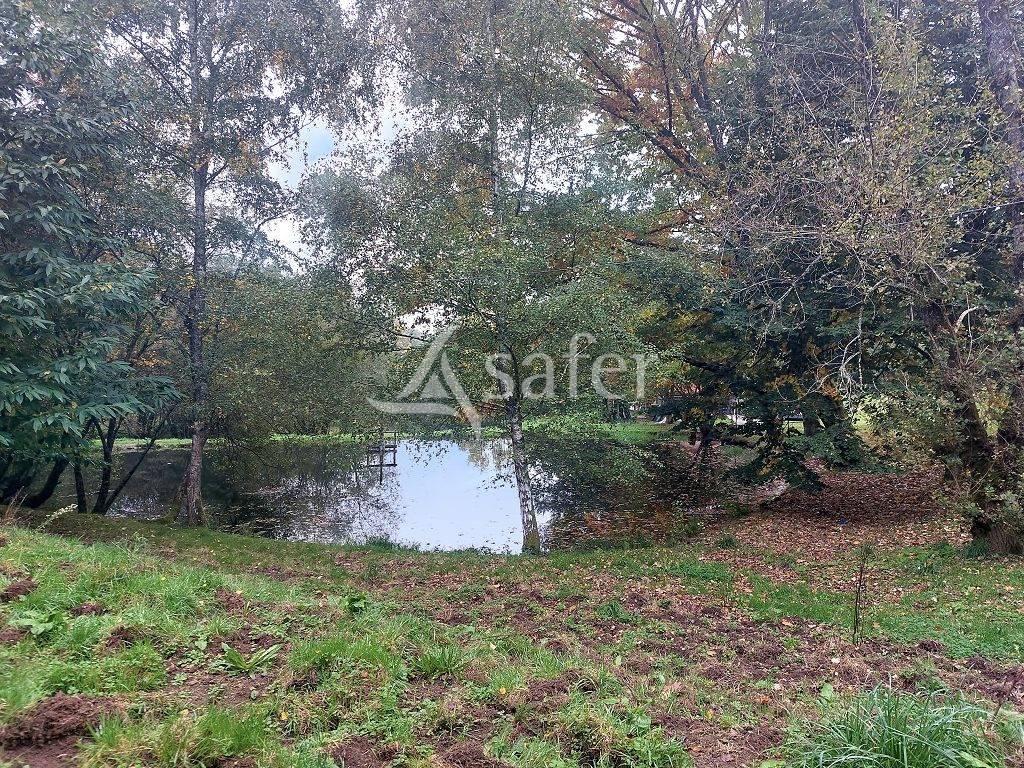 Ander plattelands vastgoed Koop Haute-Vienne