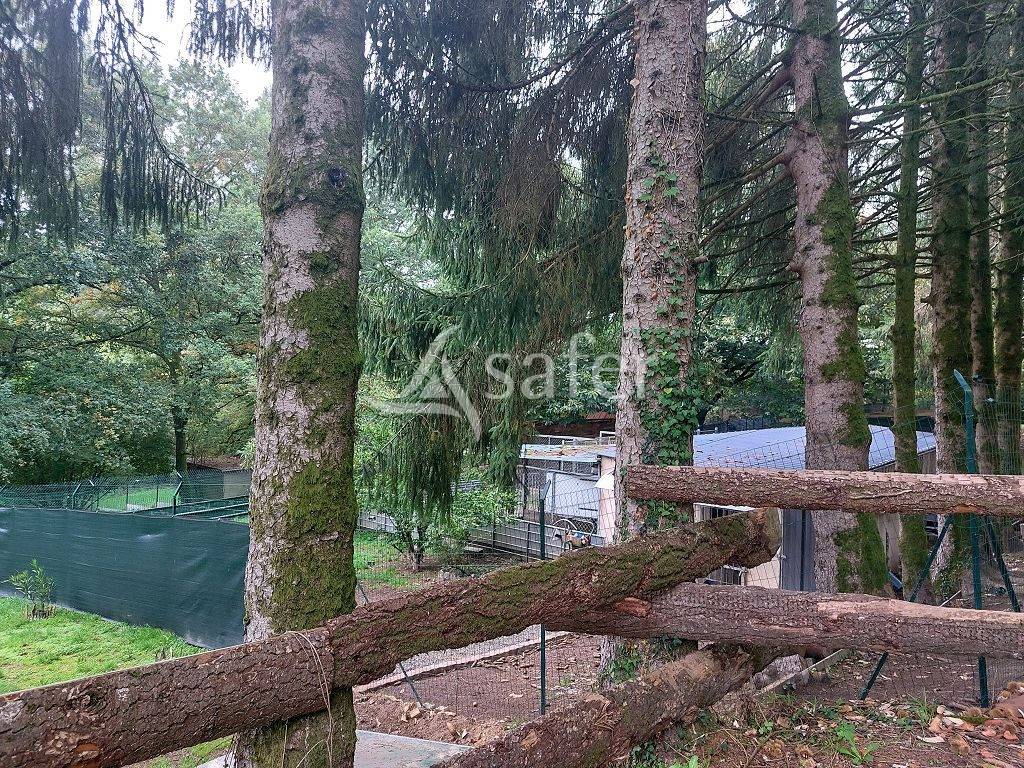 Ander plattelands vastgoed Koop Haute-Vienne