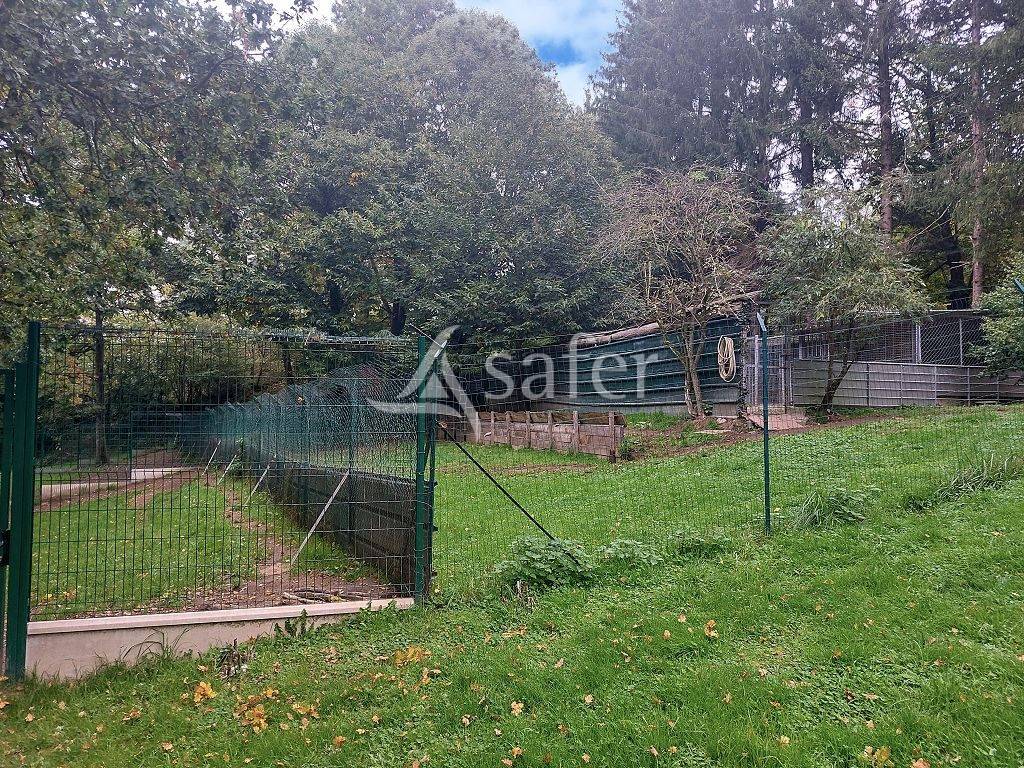 Ander plattelands vastgoed Koop Haute-Vienne