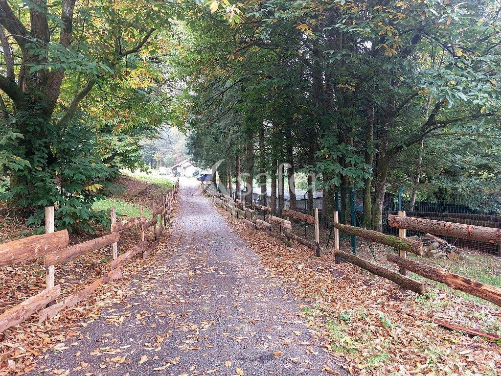 Ander plattelands vastgoed Koop Haute-Vienne