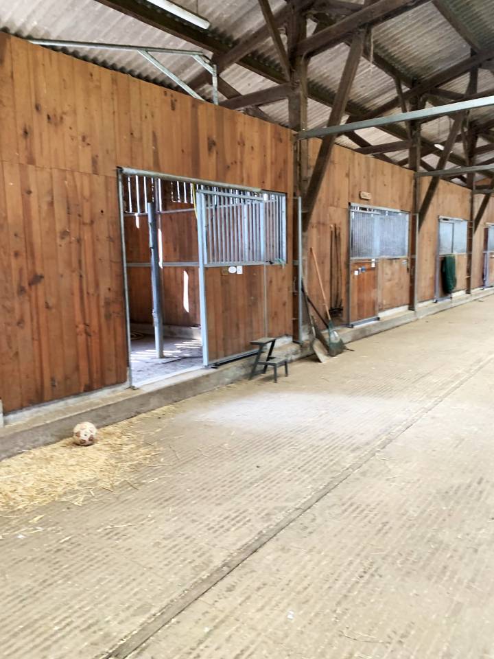 Hippisch vastgoed Koop Sarthe